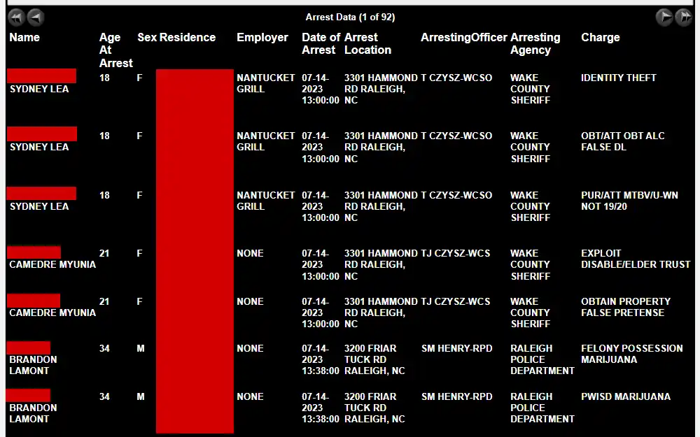 A screenshot of the arrest log tool from CCBI where you can search all arrests that have occurred within up to a 6-month date range.